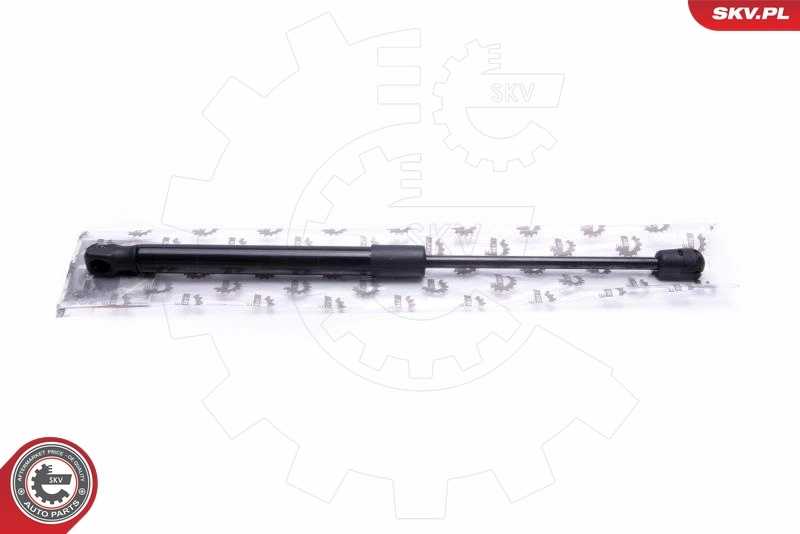 Gas Spring, boot/cargo area